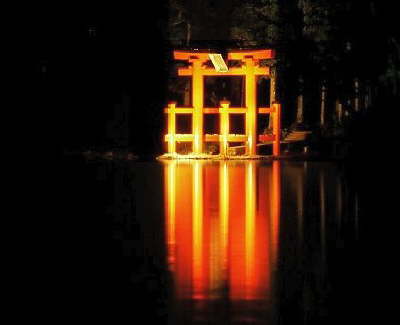 Japan: Torii at night