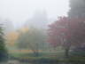 Foggy Parks 2