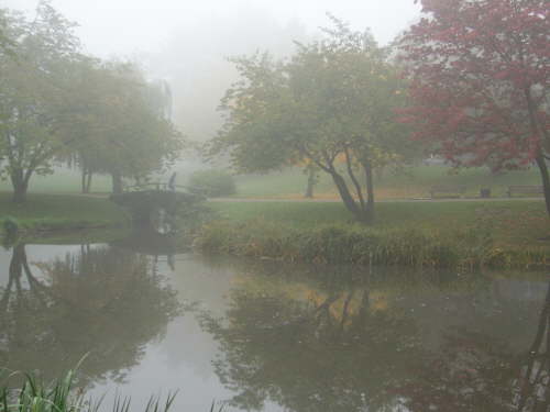 Foggy Park 4